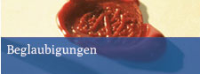 beglaubigung